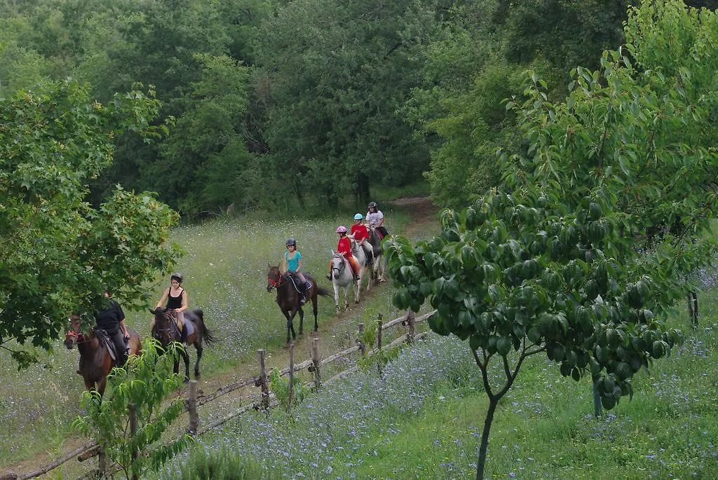 Podere Tre Mulini Farm stay