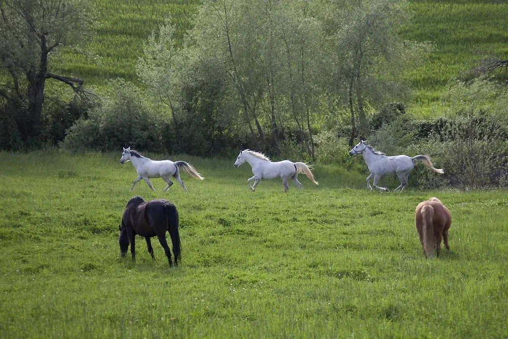 Farm stay Podere Tre Mulini Italy