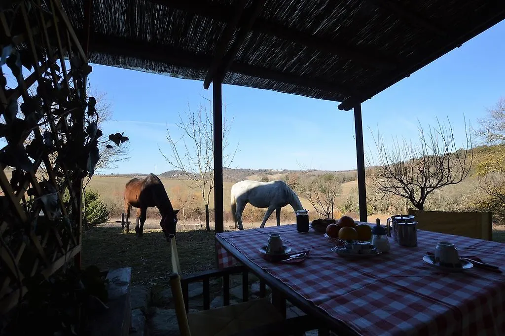 Farm stay Podere Tre Mulini